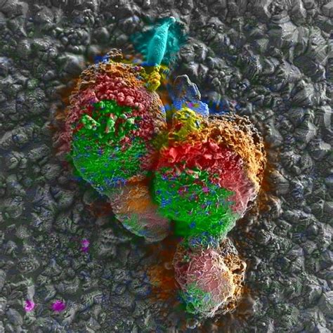 Battery Materials Sample