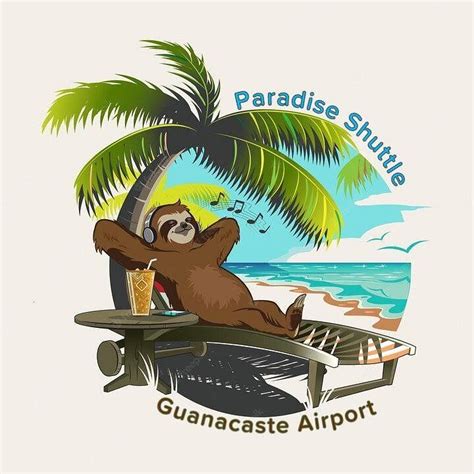 PARADISE SHUTTLE GUANACASTE (2026) All You SHOULD Know Before Going ...