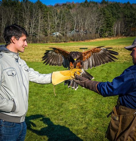 Things to Do in Woodstock, VT: Covered Bridge and Falconry Fun – Around ...