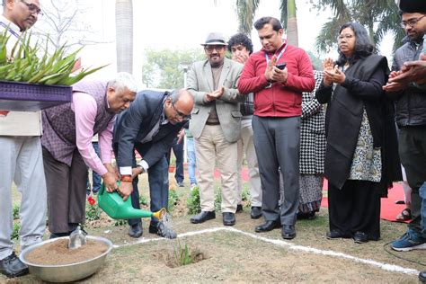 Sisal Plantation in CSIR Labs under Natural Fiber Composite Mission ...
