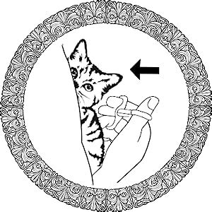 Buy Western Era Dog Pill Syringe - Pill Shooter Pill Dispenser Dog ...