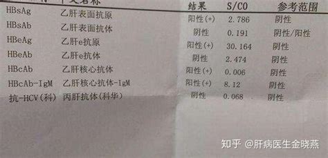 四十四：读懂乙肝两对半报告 2（25种结果解读） - 知乎