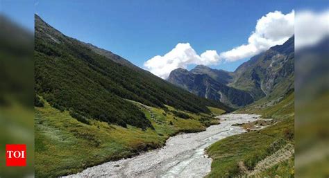 Nurseries for conservation of vegetation species of alpine meadows ...
