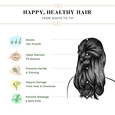 Onion Hair Growth Oil with Bhringraj - 200ml – Sesa Care