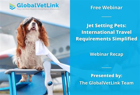 Webinar Recap | Jet Setting Pets International Pet Travel Requirements ...