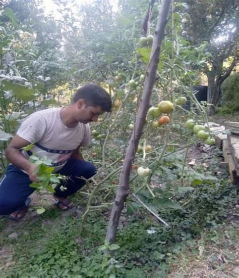 Sowing the seeds today to reap a new tomorrow