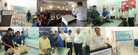 Home [www.kamdhenuuniversity.edu.in]