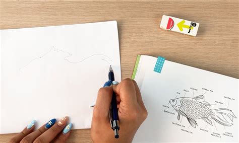 Image result for 1 Line Drawing Tutorial