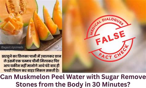 Fact Check: Can Muskmelon Peel Water with Sugar Remove Stones from the ...