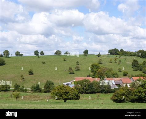 Argonne region hi-res stock photography and images - Alamy