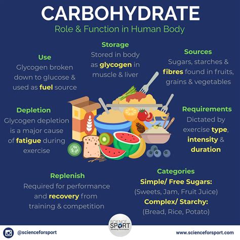 The Science Behind Carbohydrates And Their Role In The Body