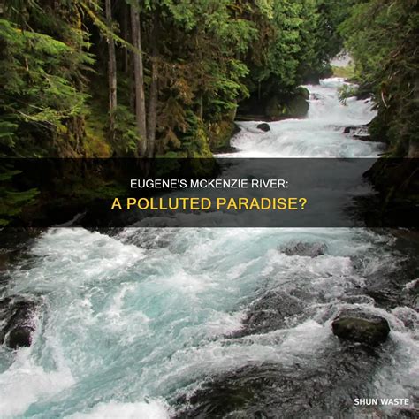 Eugene's Mckenzie River: A Polluted Paradise? | ShunWaste
