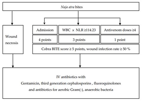 Aerobic And Anaerobic Wound Cultures