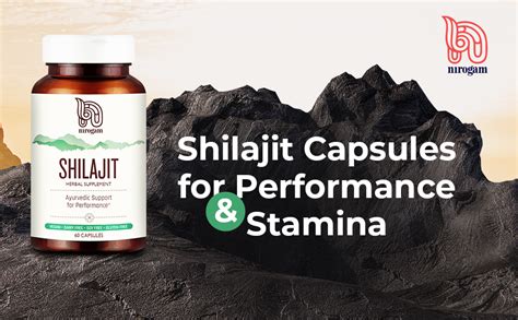 Nirogam SHILAJIT 60 CAPSULES : Amazon.in: Health & Personal Care