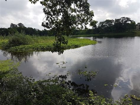 Banabitan Biodiversity Park, Bidhannagar, WB