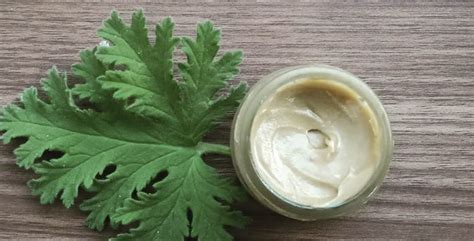 Check Out Scentora For Vegan Beauty Products | LBB