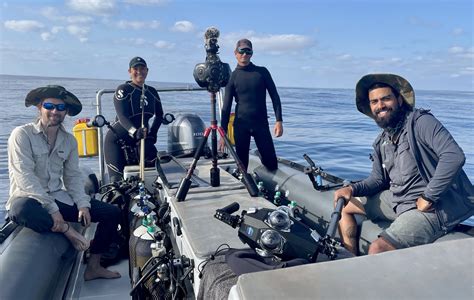 Virtual Reality brings “Flight of the Mantas” to life — Marine Megafauna Foundation