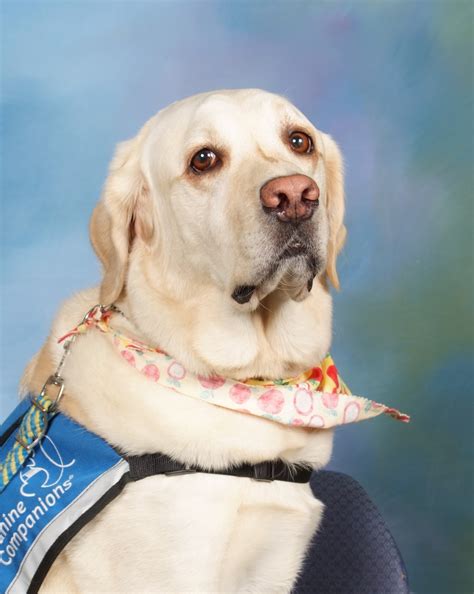 Home | Woodland School District 50