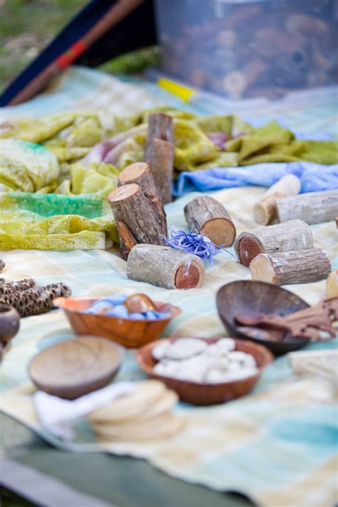 Nature Programmes 的图像结果