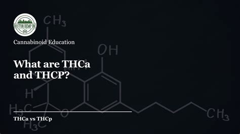 THCa vs THCp: Differences & Effects Explained