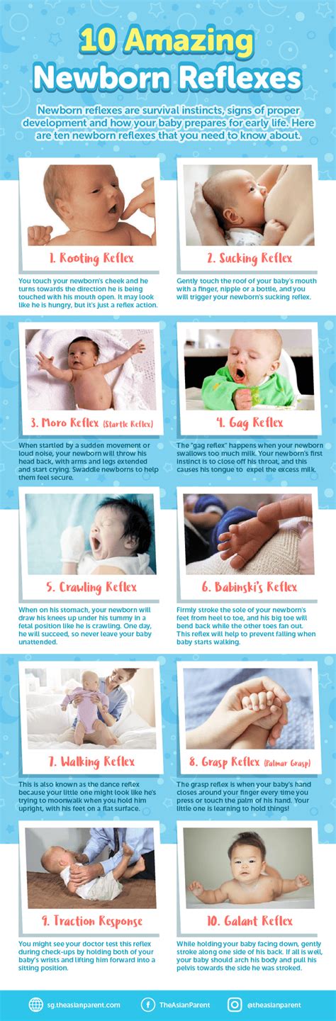 Newborn Reflex 的图像结果