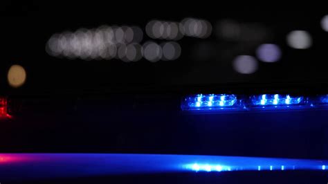 Man who died in northern Illinois plane crash identified | News ...