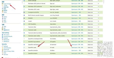 OpenLayers 的图像结果