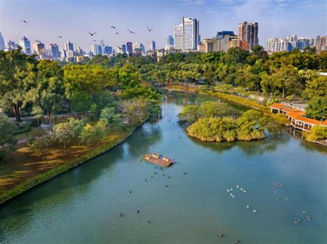 ZooLex Image - Floating islands provide waterfowl with foraging and ...