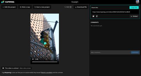 Image result for How to Paste Video URL