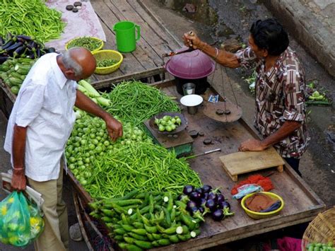 The government's new scheme to prevent spoilage of fruit and vegetables ...