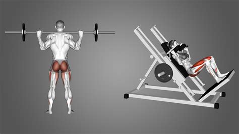 Barbell Hack Squat Vs Front Squat Smith Hack Squat Guide, Benefits,