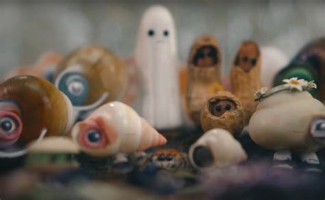 Image result for Marcel the Shell House Images