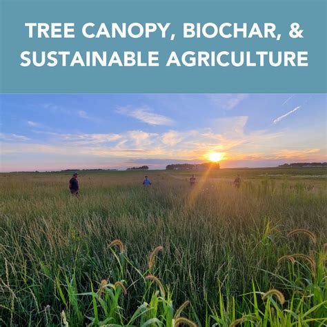 Vision for 2030 — Great River Greening