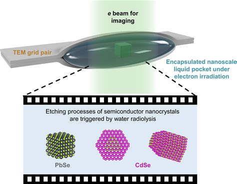 Liquid Cell Transmission Electron Microscopy Analysis Of Semiconductor ...