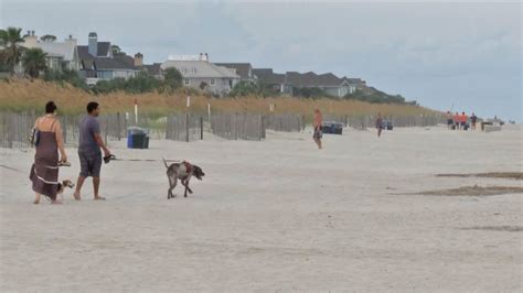 Do Delaware Beaches Allow Dogs at Bobby Gibson blog