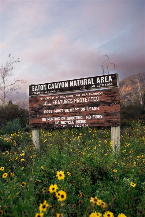 Hike Eaton Canyon Falls Trail - Chrissi Hernandez Blog