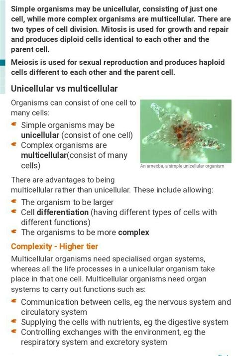 What are the advantage of multicellularity - Brainly.in