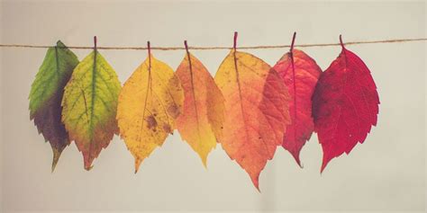 Change Management: The Art of Positive Change
