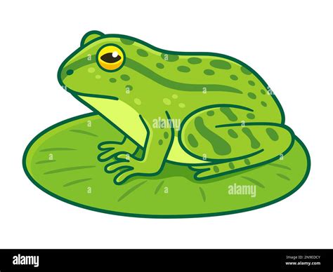 Realistic green frog drawing sitting on lily pad. Cartoon vector clip ...