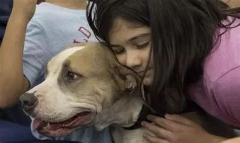 Your canine friends can now pave way for cancer cure in humans