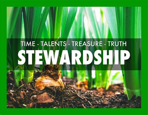 Image result for How to Implement Stewardship