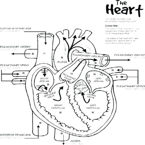 Image result for Heart Rate Sensor Raspberry Pi