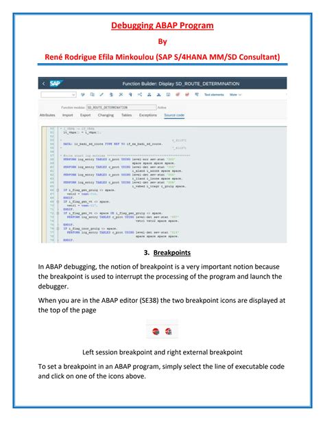 Image result for How to Debug ABAP Program with GUI HTML