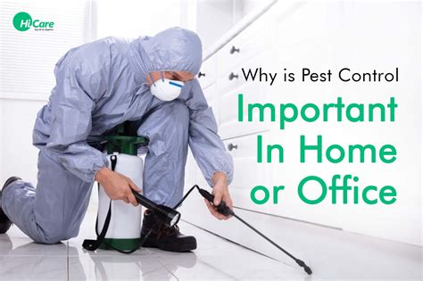 What Is Pest Control Service at Victoria Riley blog