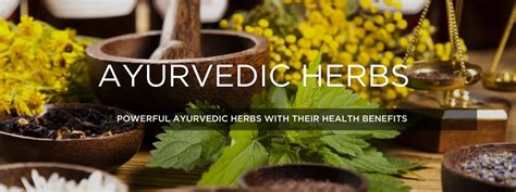 Ayurvedic Herbal Medicine 的图像结果