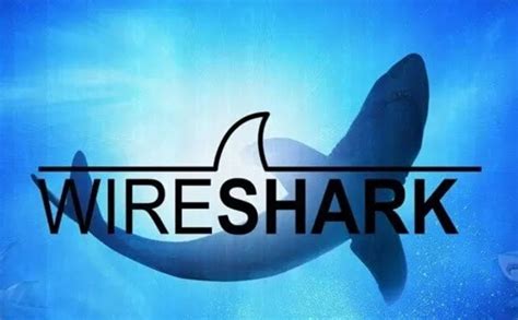 猿如意中的【Wireshark】网络包分析工具详情介绍_wireshark3.6.5 安装及使用_陈丹宇jmu的博客-CSDN博客