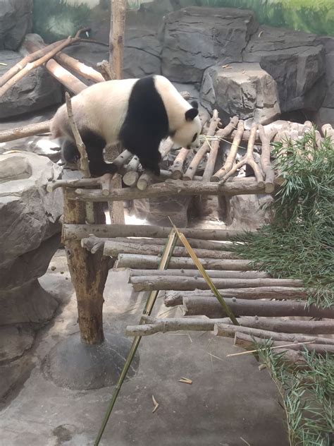 南京红山森林动物园旅游攻略 南京红山森林动物园门票价格→MAIGOO百科