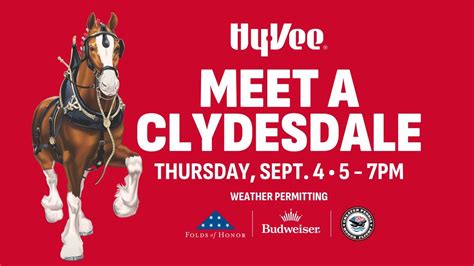 Meet a Clydesdale at Hy-Vee: 9/4, 7610 N Orange Prairie Rd, Peoria, IL ...