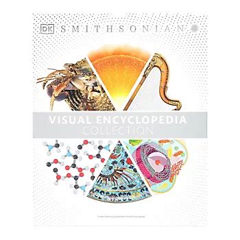 BJ Tutorial Visual 的图像结果