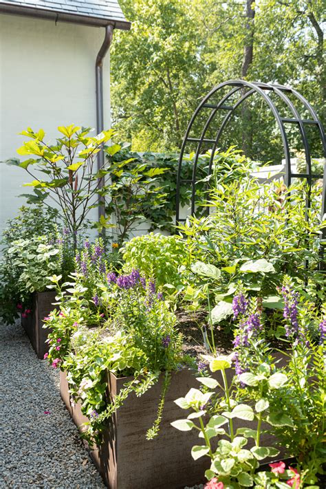 What to Plant in a Raised Garden Bed • Gardenary